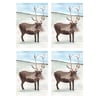 Reindeer Christmas Cards A6 - Pack of 4