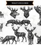 12 Vintage Stag Engraving SVGs - Animal Clipart Bundle (Files emailed to you) - Image 4