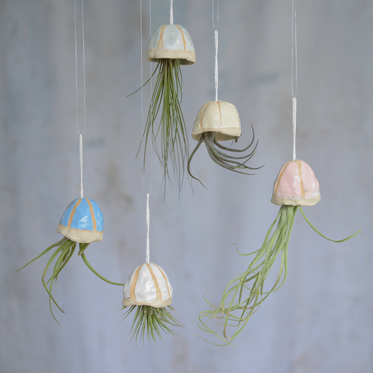 Hanging Jellyfish Air Plants 5 Pastel Colours
