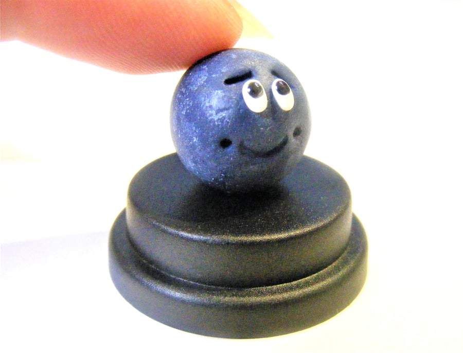 Pet Blueberry, Blueberry lover, Vegan gift, Vegetarian gift, Fruit gift