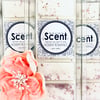 Holiday Romance Snap Bar Wax Melts 