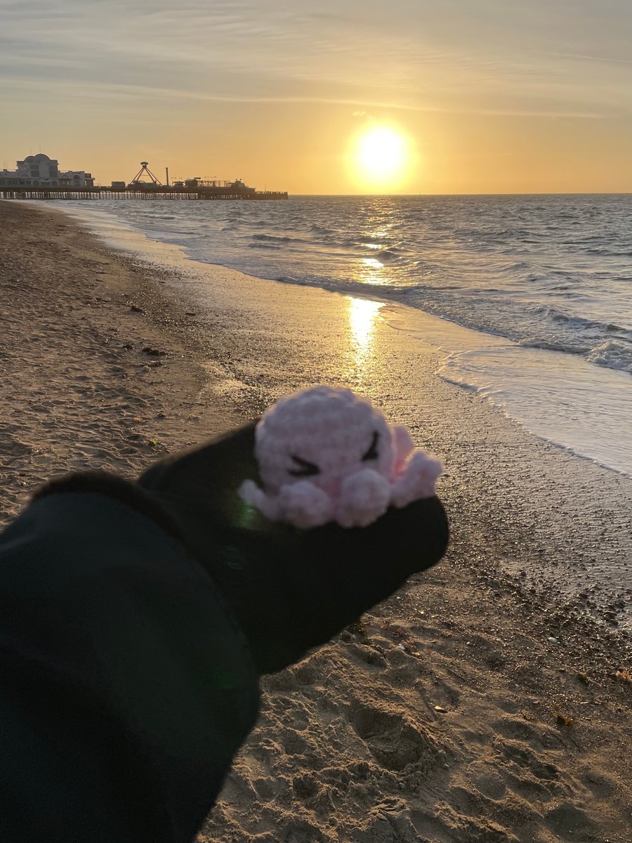 Mini Pink Plushie Octopus