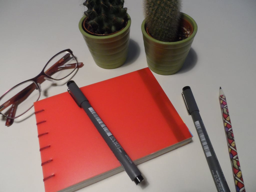 Handmade Coptic stitch book 25