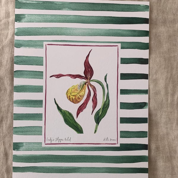 Lady's Slipper Orchid Stripe A4 Eco-Friendly Art Print