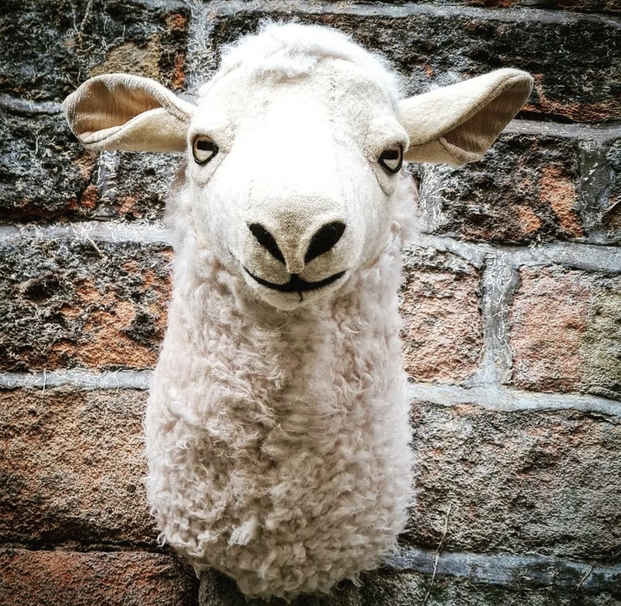 Faux sheep ewe head - Sheila the sheep