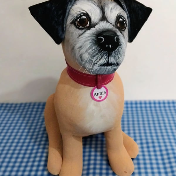 Border Terrier 