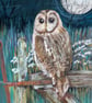 Owl Art Print - Tawny owl bird art print - Image 9