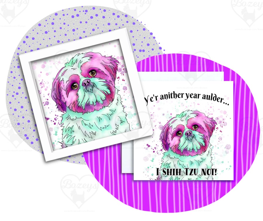 Shih-tzu Birthday Card - Another year older? I Shih Tzu not!