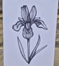 Pack of 3 floral & bird greetings cards - Image 2