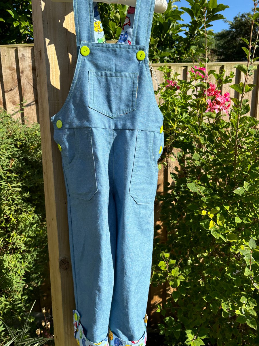 Children’s Cats Dungarees 