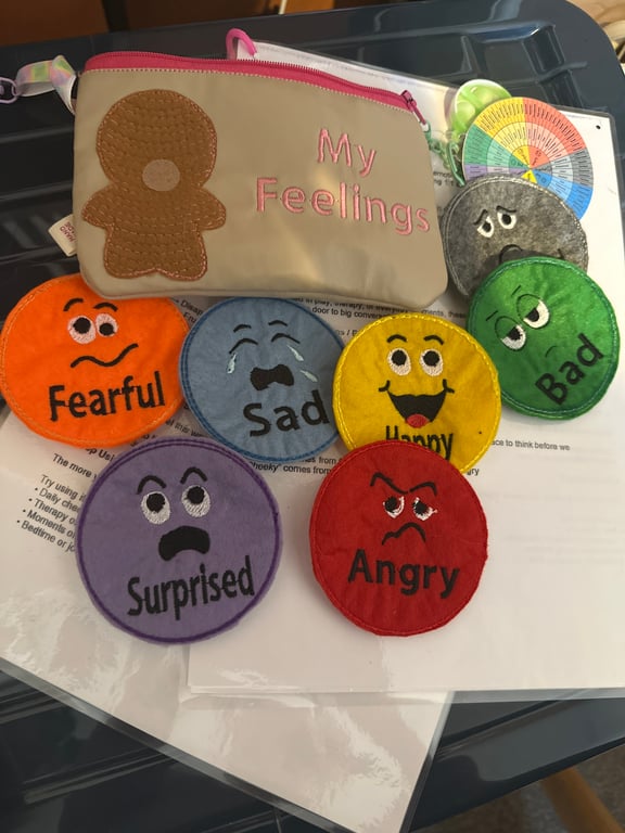 My Feelings – visual communication aid, Asd Semh Emotional Support Set. 