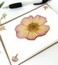 Handmade Real Pressed Rose Greeting Card, Wedding, Anniversary, Birthday - Image 3
