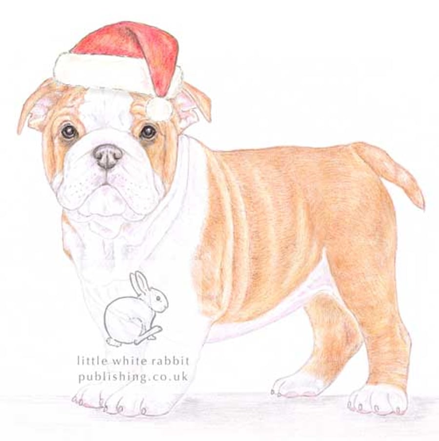 Winnie the English Bulldog - Christmas Hat Card