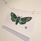 Death Moth in a Green - Original Lino Print