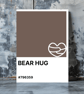 BEAR HUG Greeting Card – Colour Swatch Series (A6, Blank Inside)
