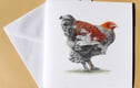 Cards