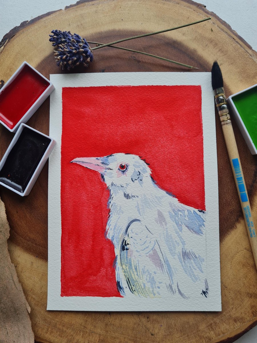 Original hand painted small watercolour Red albino Crow art