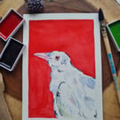 Original hand painted small watercolour Red albino Crow art