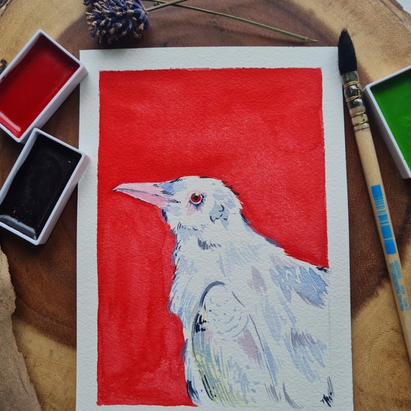Original hand painted small watercolour Red albino Crow art