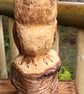 Birch Owl Carving - Image 2