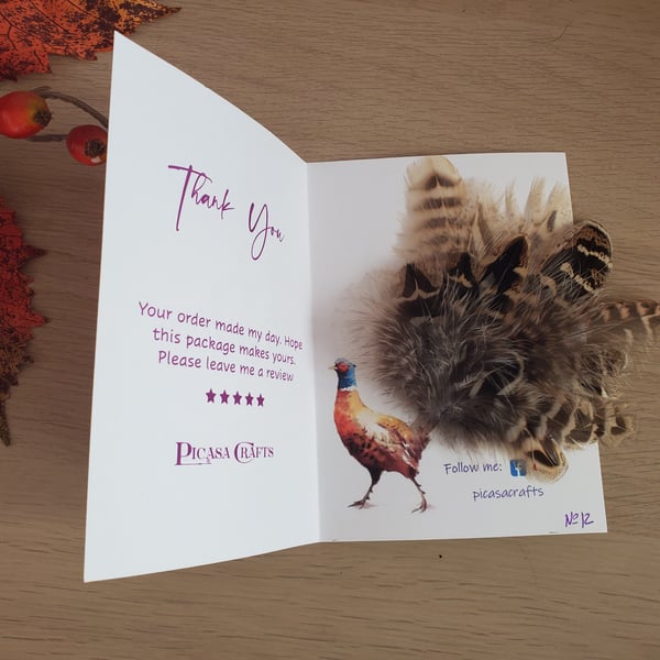 Pheasant Feathers Hat Pin - Brooch - Buttonhole