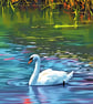 Swan Norfolk Fen A5 Greeting Card  - Image 1