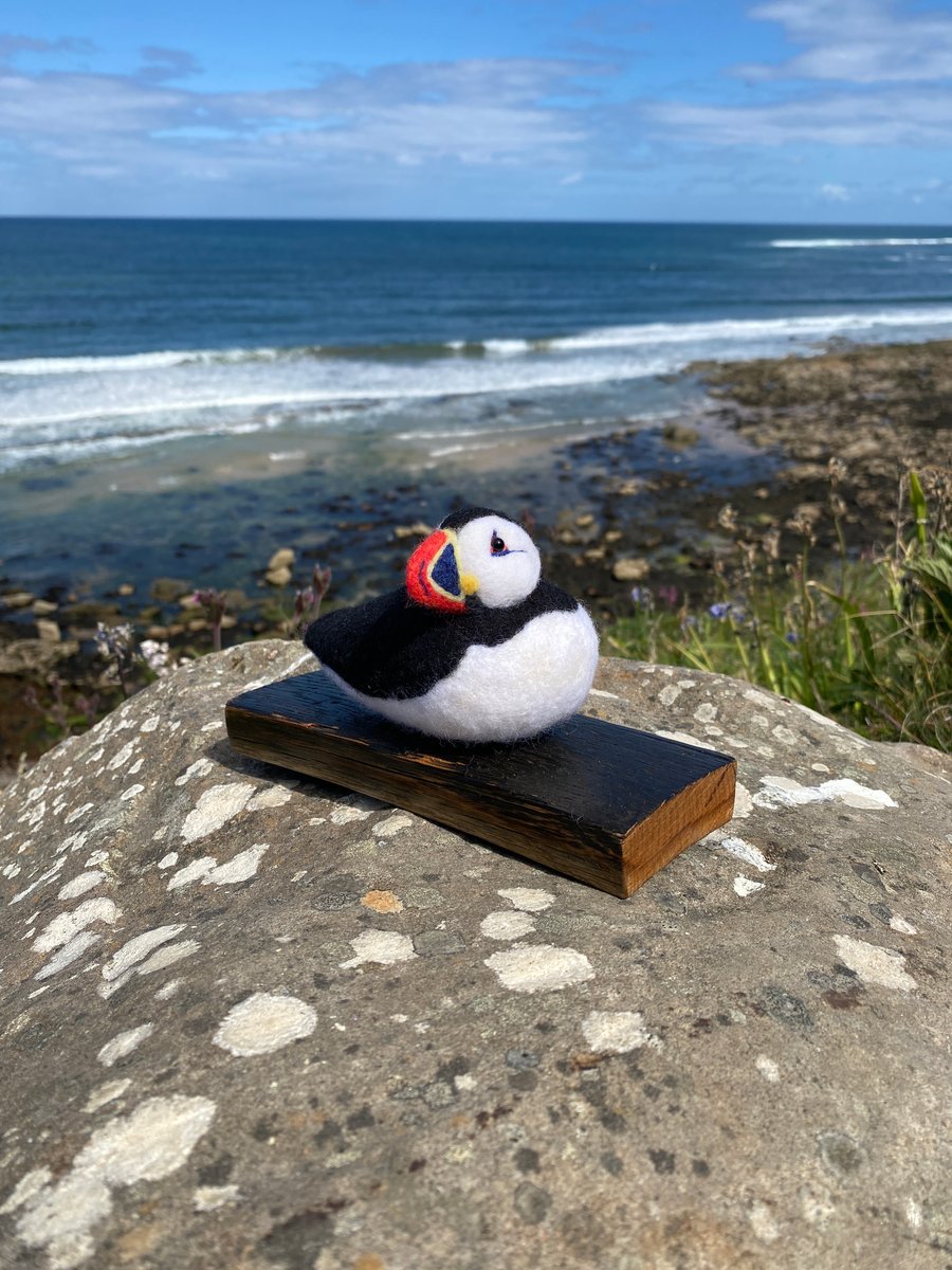 Pippin - Sitting Puffin