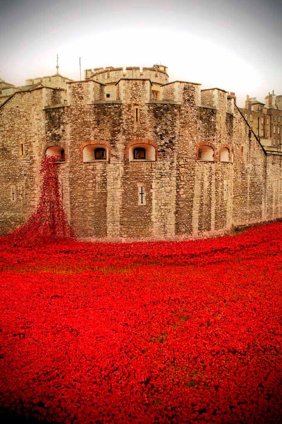 Tower Of London Red Poppy Memorial England Photograph Print
