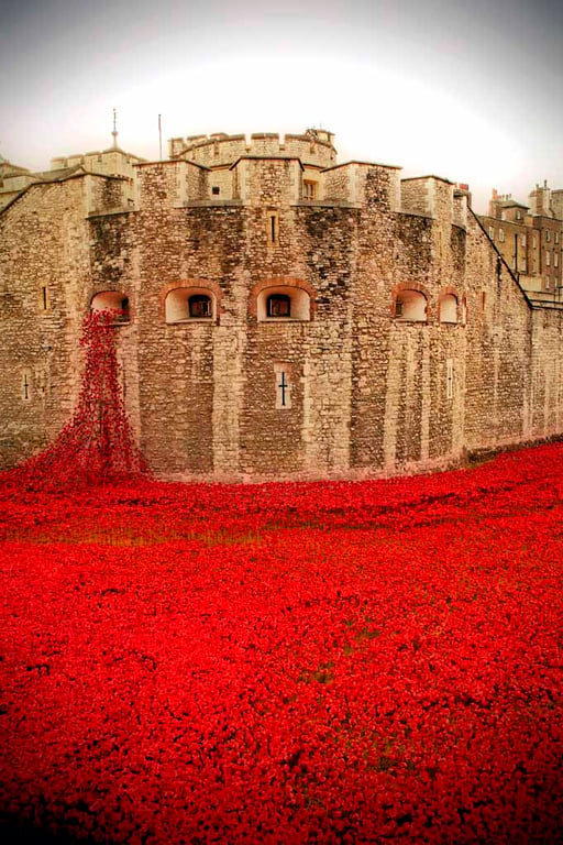 Tower Of London Red Poppy Memorial England Photograph Print