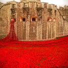 Tower Of London Red Poppy Memorial England Photograph Print