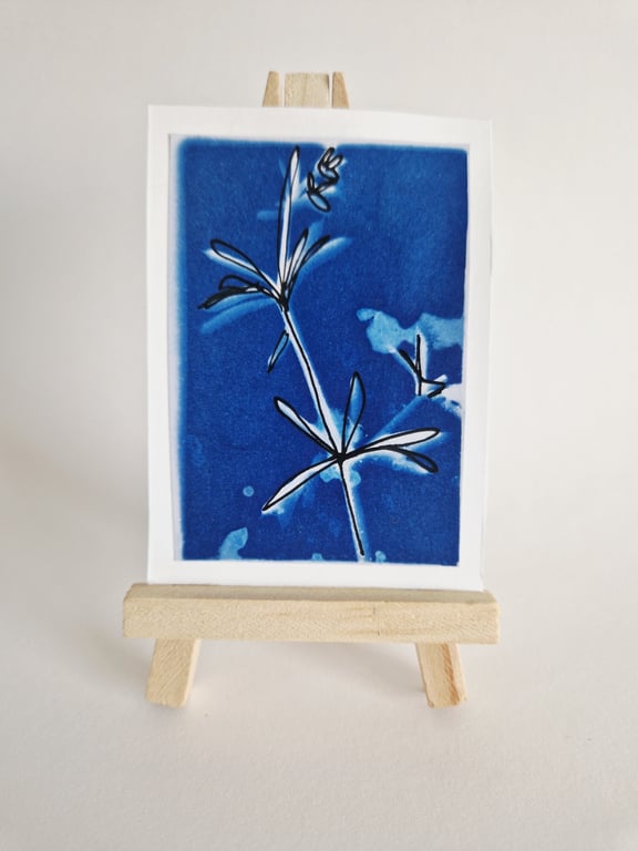 ACEO OOAK original cyanotype Cornish Hedgerow No.2