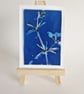 ACEO OOAK original cyanotype Cornish Hedgerow No.2