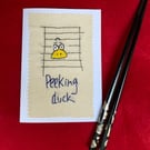 "Peeking Duck" blank card.