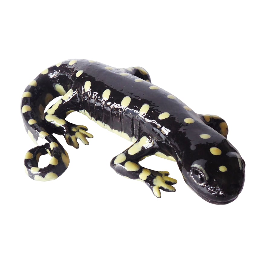 Salamander Ceramic Ornament - Hand Built