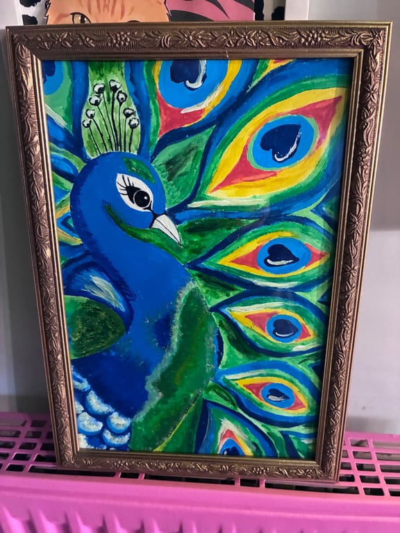 Beautiful bright peacock picture