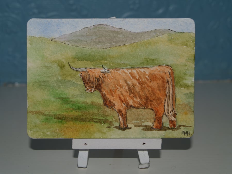 ACEO Original Highland Cow in Scotland