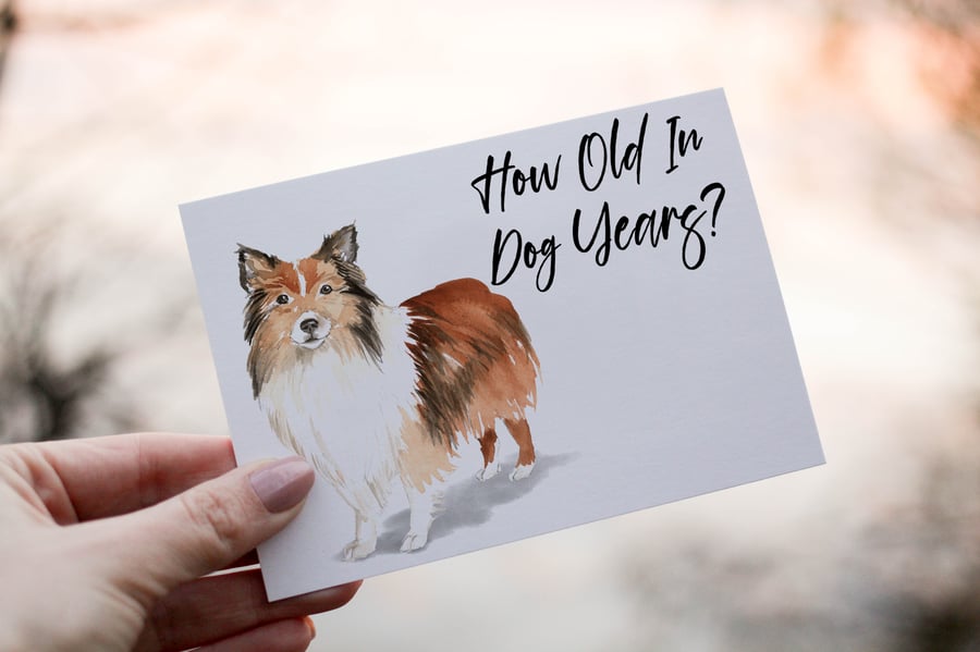 Shetland Sheepdog Birthday Card, Dog Birthday Card, Personalized Dog Breed