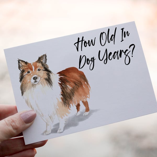 Shetland Sheepdog Birthday Card, Dog Birthday Card, Personalized Dog Breed