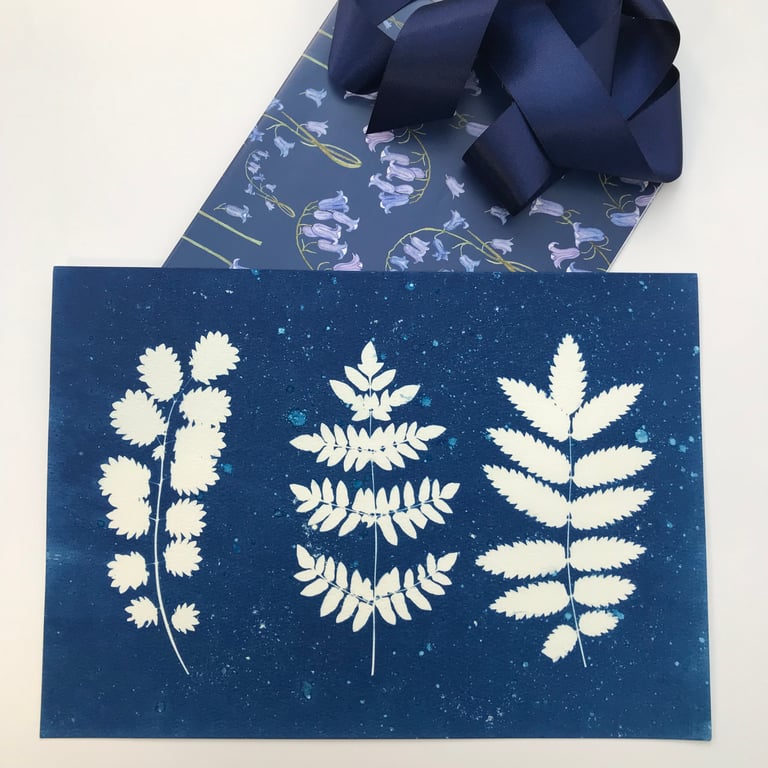 Original Cyanotype Photogram- Botanical leaves- Mx Beau