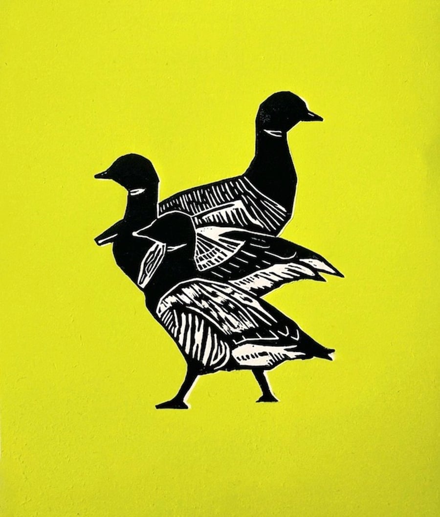 Three Brent Geese Linocut - Lime Edition