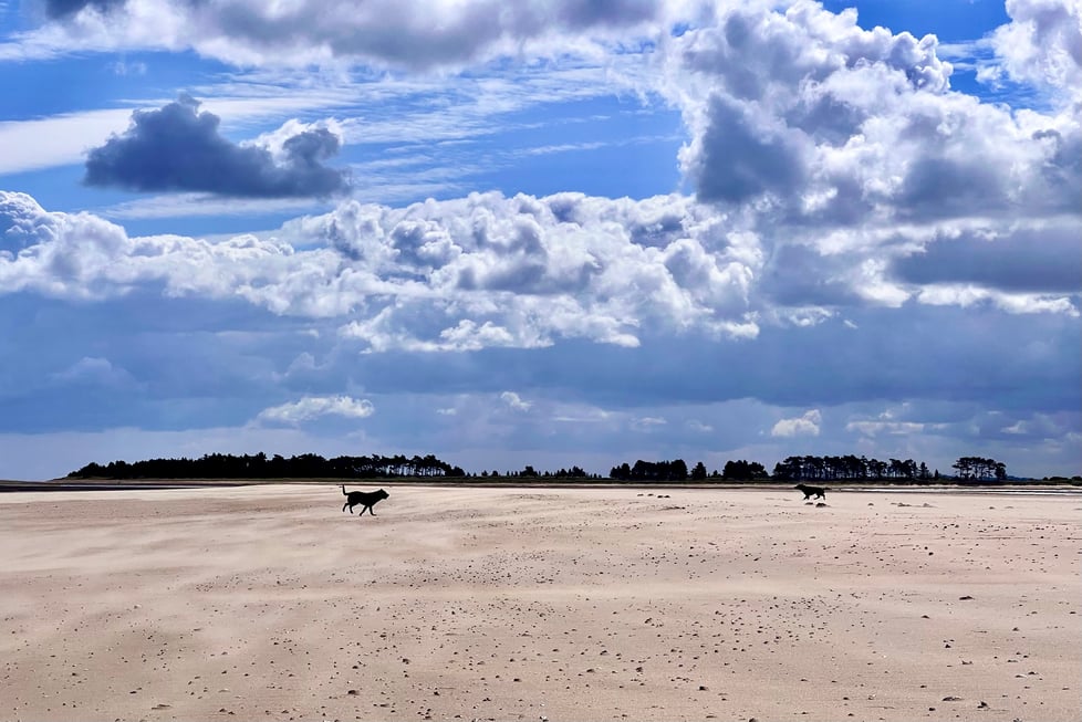 Sculptures and Ceramics by Sarajane Natural West