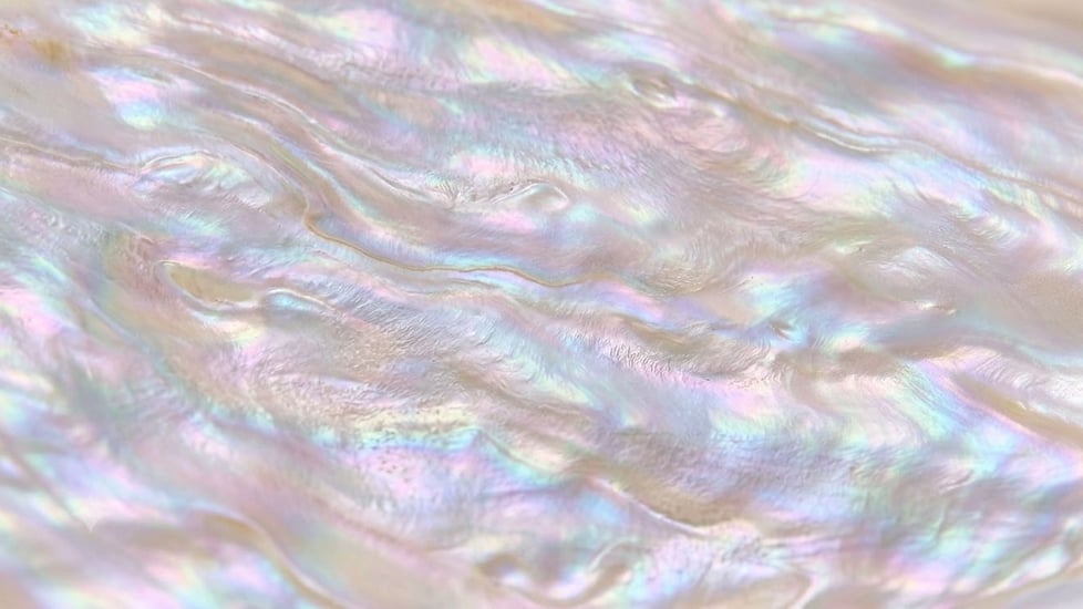 Precious Pearl Pieces