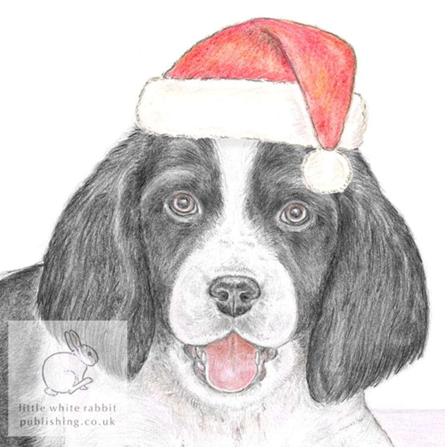 Sally the Springer Spaniel - Christmas Hat Card