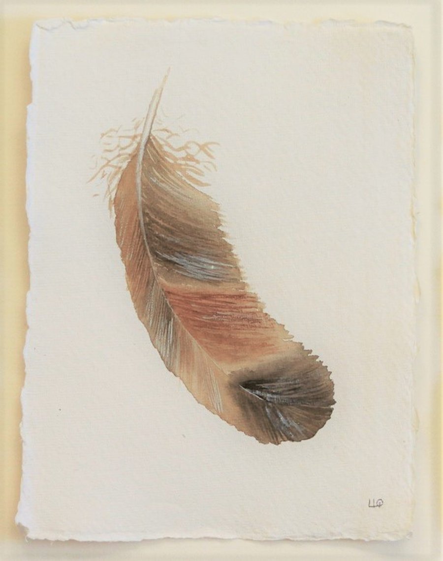 Feather study original watercolour illustration painting 6x8 picture unframed