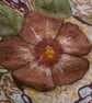 Handmade Nuno Felted Silk Scarf – Lightweight Floral Design - Image 9