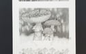 Mushrooms