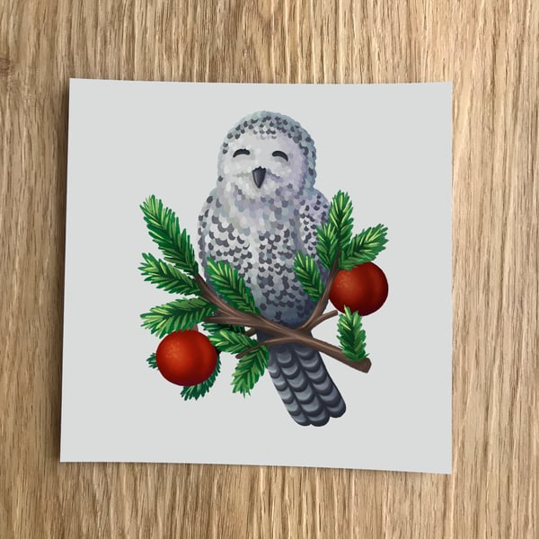 Snowy Owl Square Post Card Print