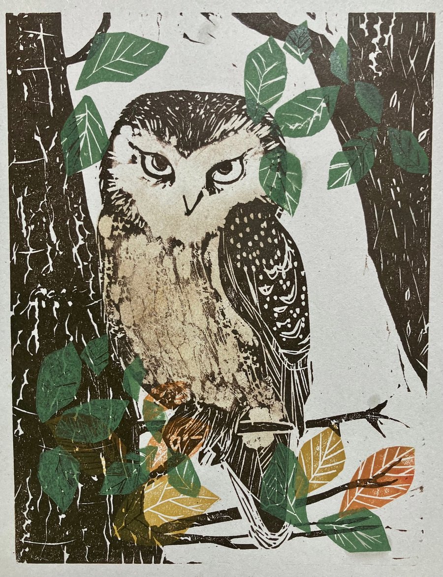 Little Owl in Beech Tree - Lino Cut 