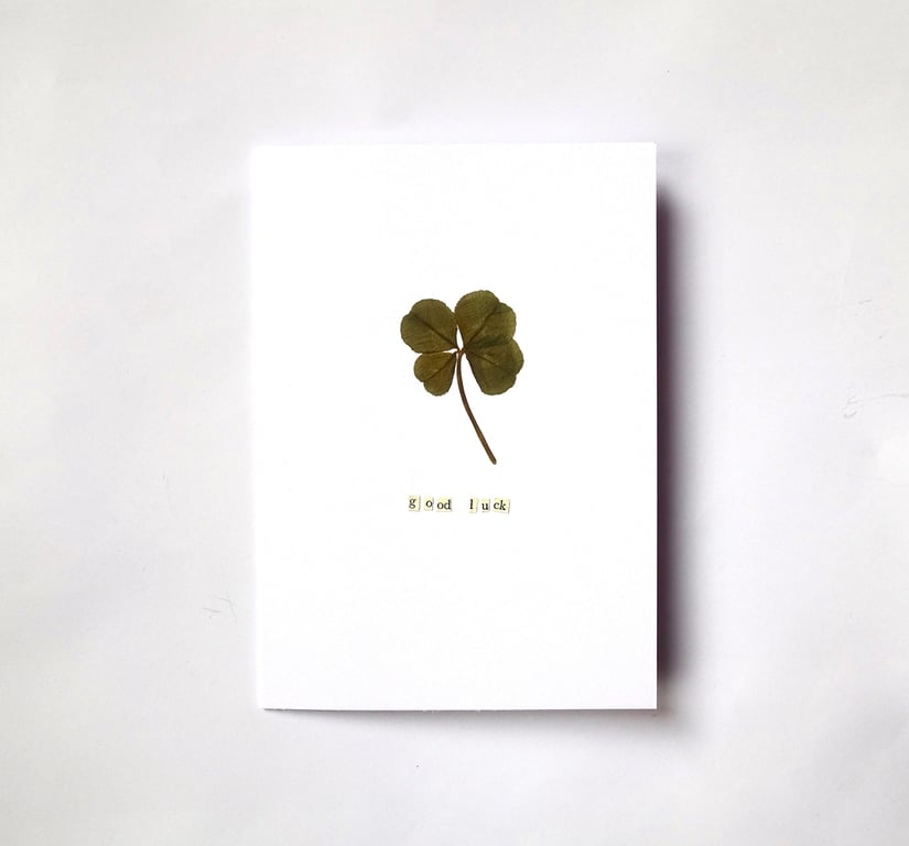 Good Luck Card with Real Four Leaf Clover - READY TO SHIP
