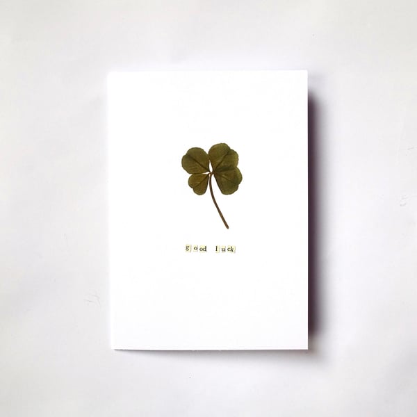 Good Luck Card with Real Four Leaf Clover - READY TO SHIP